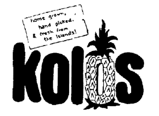 KOLOS HOME GROWN, HAND PICKED, & FRESH FROM THE ISLANDS] logo