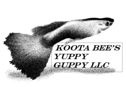 KOOTA BEE'S YUPPY GUPPY LLC logo