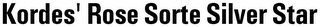KORDES' ROSE SORTE SILVER STAR logo