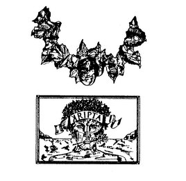 KRIPTA logo