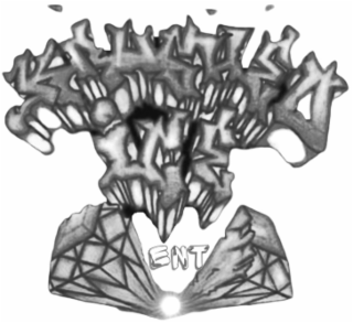KRUSHED ICE ENT logo