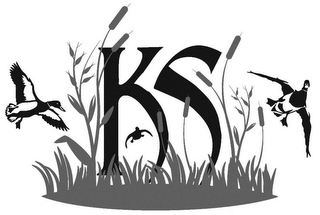 KS logo