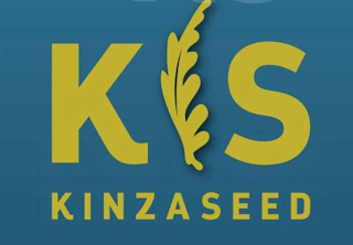 KS KINZASEED logo
