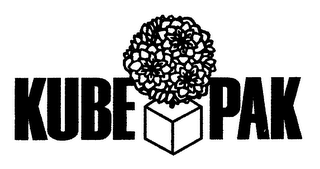 KUBE PAK logo