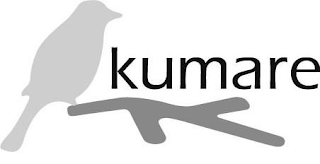 KUMARE logo