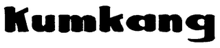 KUMKANG logo