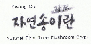 KWANG DO NATURAL PINE TREE MUSHROOM EGGS logo
