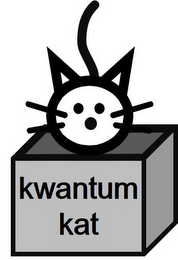 KWANTUM KAT logo