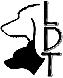 L D T logo