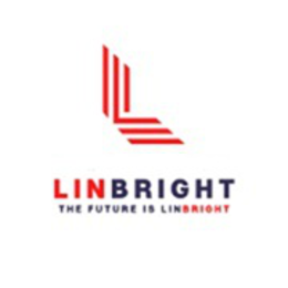 L LINBRIGHT THE FUTURE IS LINBRIGHT logo