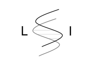 L S I logo