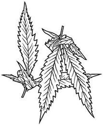 LA logo