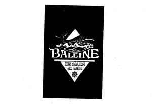 LA BALEINE DES SALINS DU MIDI logo