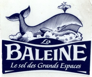 LA BALEINE LE SEL DES GRANDS ESPACES logo