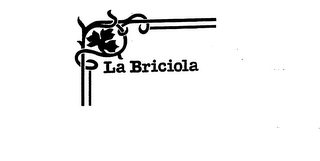 LA BRICIOLA logo