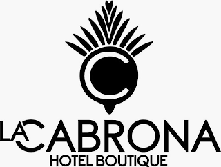LA CABRONA HOTEL BOUTIQUE logo