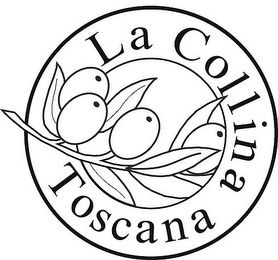LA COLLINA TOSCANA logo