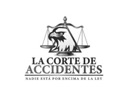 LA CORTE DE ACCIDENTES NADIE ESTÁ POR ENCIMA DE LA LEY logo