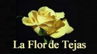 LA FLOR DE TEJAS logo