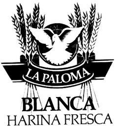 LA PALOMA BLANCA HARINA FRESCA logo