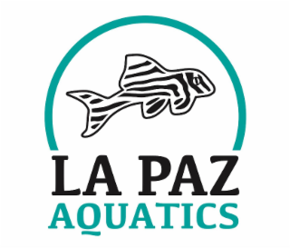 LA PAZ AQUATICS logo