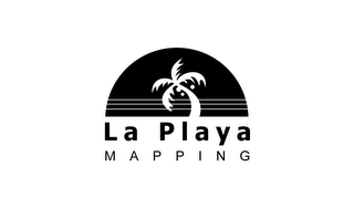 LA PLAYA MAPPING logo