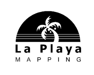LA PLAYA MAPPING logo