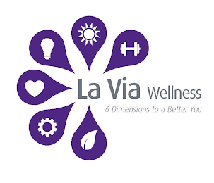 LA VIA WELLNESS 6 DIMENSIONS TO A BETTER YOU logo