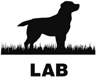 LAB logo