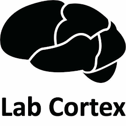 LAB CORTEX