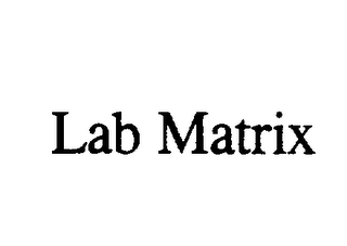 LAB MATRIX logo