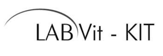 LAB VIT-KIT logo