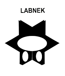 LABNEK logo