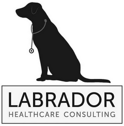 LABRADOR HEALTHCARE CONSULTING logo