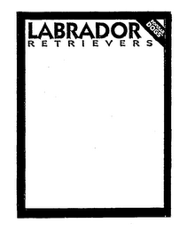 LABRADOR RETRIEVERS POPULAR DOGS logo