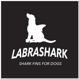 LABRASHARK SHARK FINS FOR DOGS logo