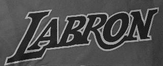LABRON logo