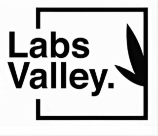 LABS VALLEY. logo