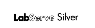 LABSERVE SILVER logo