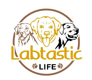 LABTASTIC LIFE logo
