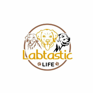 LABTASTIC LIFE logo