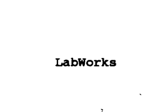 LABWORKS logo