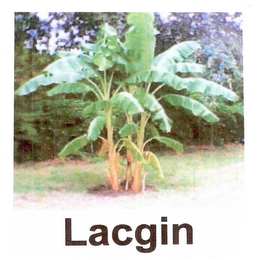 LACGIN MUSIC logo