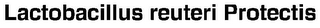 LACTOBACILLUS REUTERI PROTECTIS logo