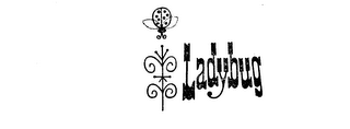 LADYBUG