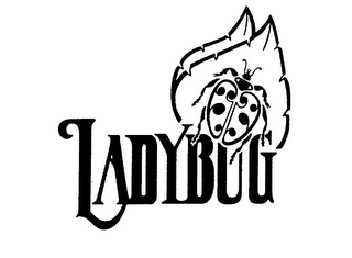 LADYBUG logo