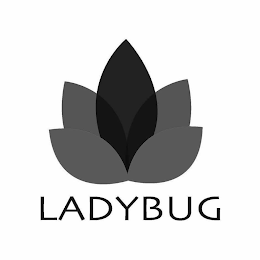 LADYBUG logo