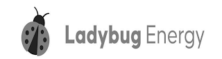 LADYBUG ENERGY logo
