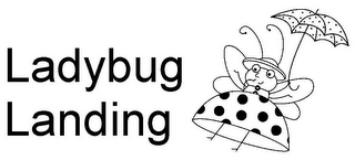 LADYBUG LANDING logo