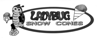 LADYBUG SNOW CONES logo
